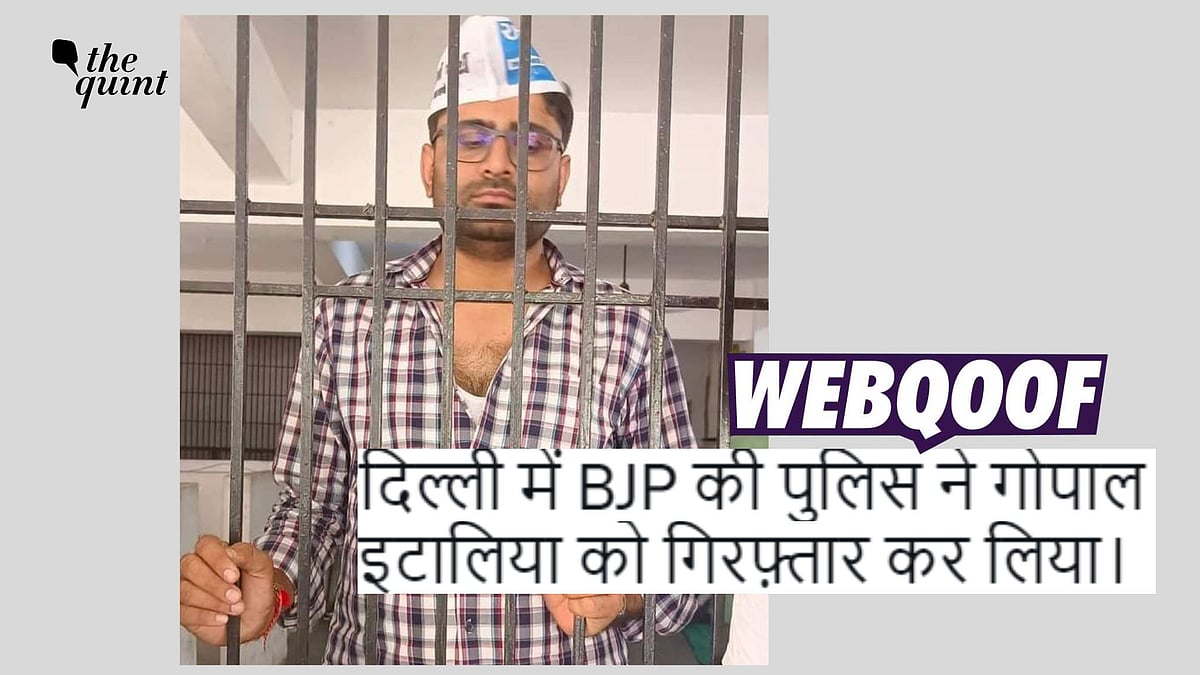 <div class="paragraphs"><p>Fact-check: This photo of AAP's Gujarat Chief Gopal Italia is not recent; it dates back to May 2022. </p></div>