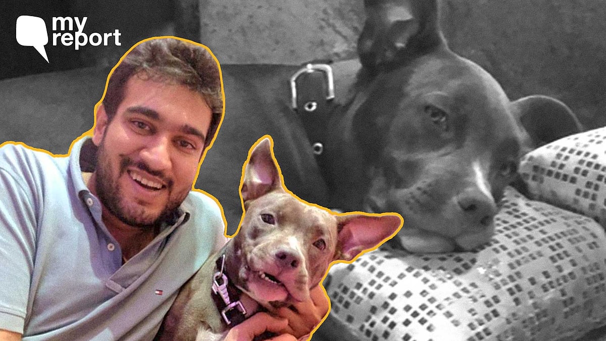 <div class="paragraphs"><p>Dev Vohra with his pet Noor.</p></div>