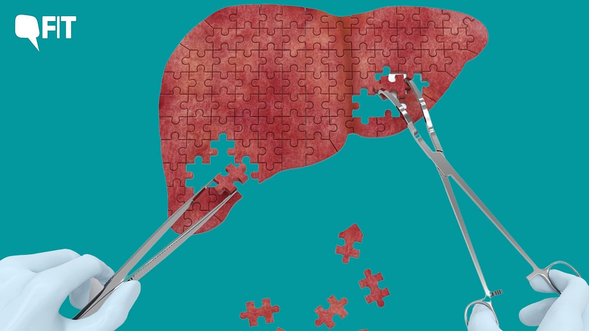 <div class="paragraphs"><p>The liver detoxifies the blood to be used by the rest of the organs and breaks down the nutrients.</p></div>