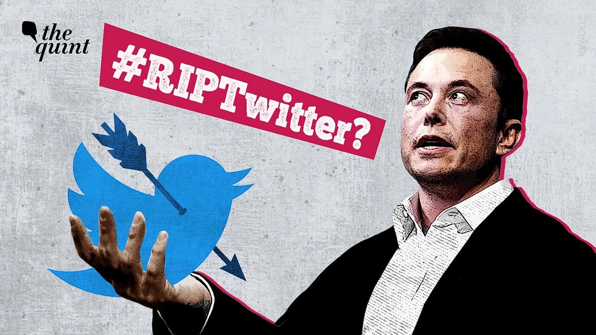 <div class="paragraphs"><p>Not a single day of calm since Elon Musk's takeover of Twitter</p></div>