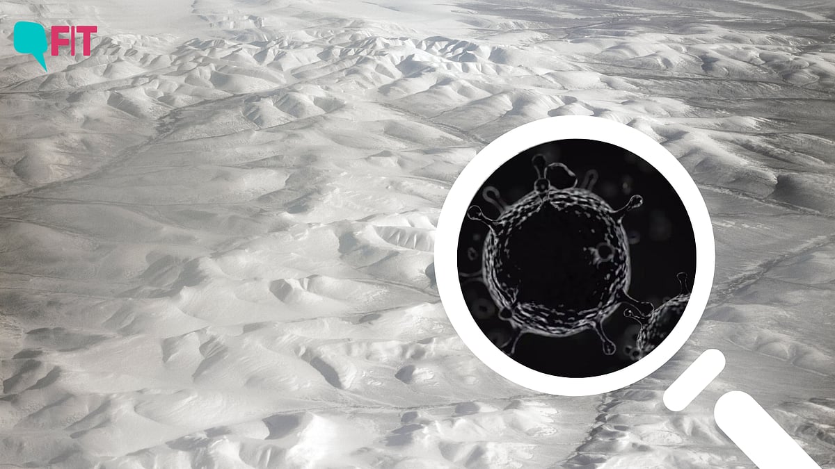 <div class="paragraphs"><p>European <a href="https://www.thequint.com/fit/coronavirus-origins-debate-from-bats-to-lab-leak">researchers</a> have revived 13 “zombie viruses” or pathogens from Russia’s Siberian permafrost.</p></div>