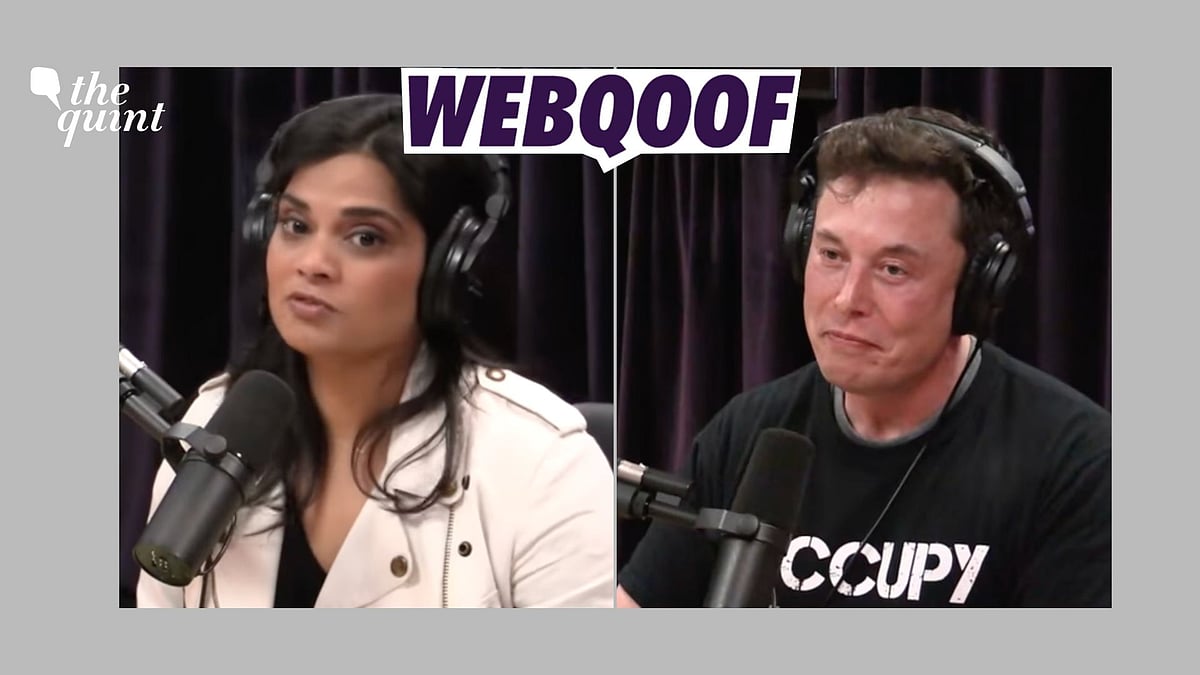 <div class="paragraphs"><p>Musk and Gadde have never appeared on Rogan's podcast together.</p></div>