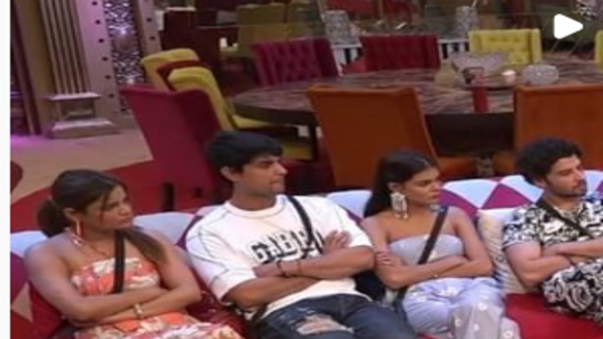 <div class="paragraphs"><p>Bigg Boss 16 17 November 2022 Thursday E48: Housemates vs Archana live written update.</p></div>