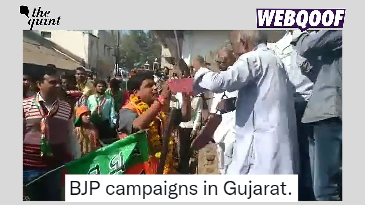 <div class="paragraphs"><p>Fact-check: The video is old and not from Gujarat as claimed. </p></div>