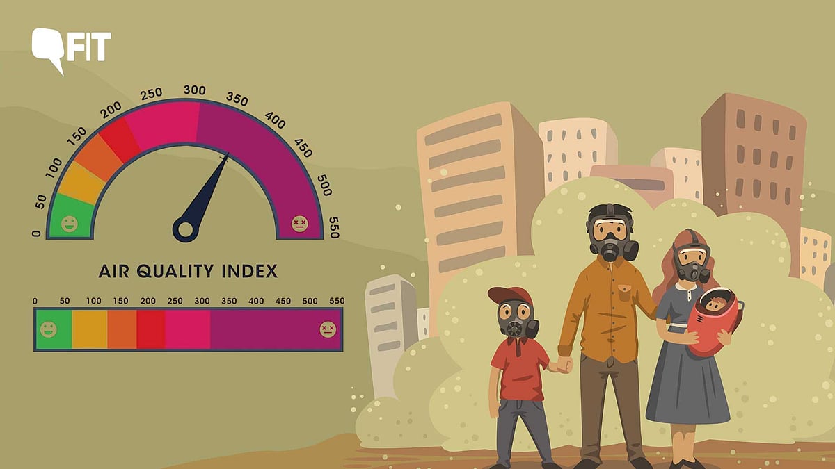 <div class="paragraphs"><p>Air Pollution: How to check Air Quality Index</p></div>