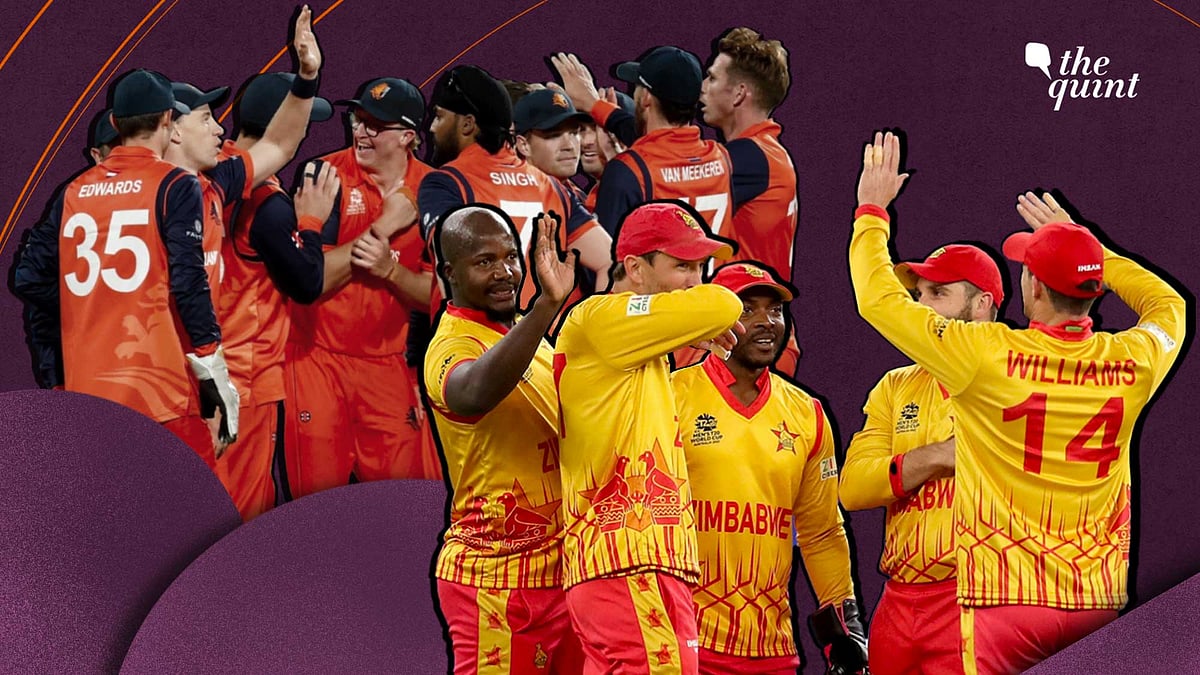 <div class="paragraphs"><p>The 'smaller' teams punched above their weights at the ICC Men's T20 World Cup 2022.</p></div>