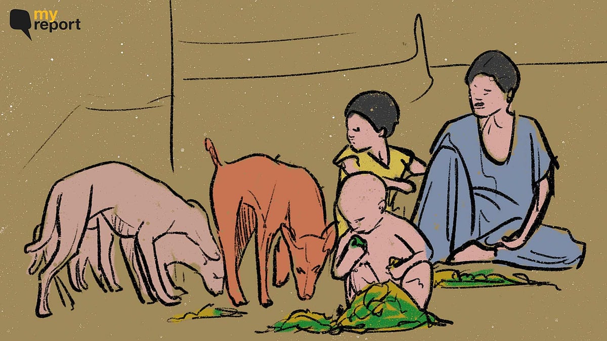 <div class="paragraphs"><p>Families in Afghanistan forced to share food with animals.</p></div>