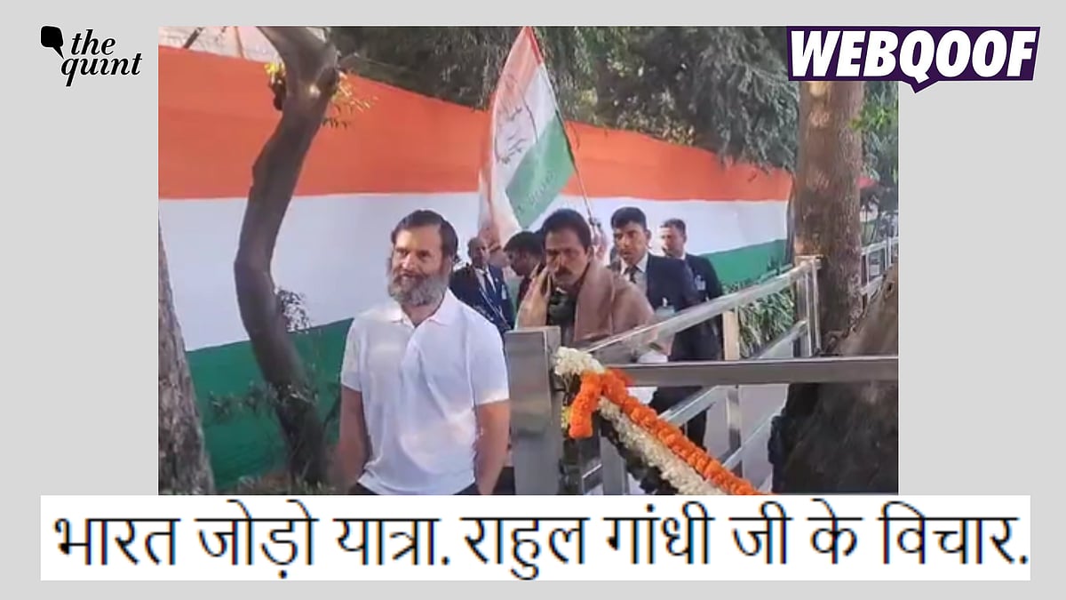 <div class="paragraphs"><p>Fact-check: Rahul Gandhi spoke about his t-shirt, not the yatra. </p></div>