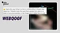 more-news-img