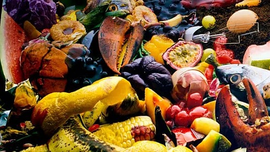 <div class="paragraphs"><p>Wasted food – and land, labor, chemicals, water and energy.</p></div>