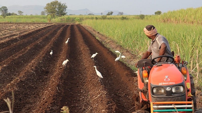 <div class="paragraphs"><p>A farmer tilling his sugarcane field at Karad in Maharashtra.</p></div>
