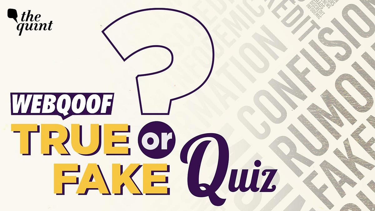 <div class="paragraphs"><p>Take our quiz to find out how much fake news you fell for this week.</p></div>