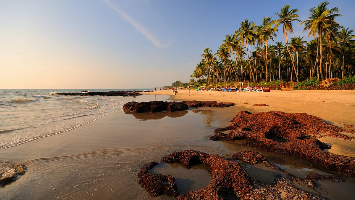 <div class="paragraphs"><p>IRCTC Christmas in Goa package 2022 latest details are mentioned here.</p></div>
