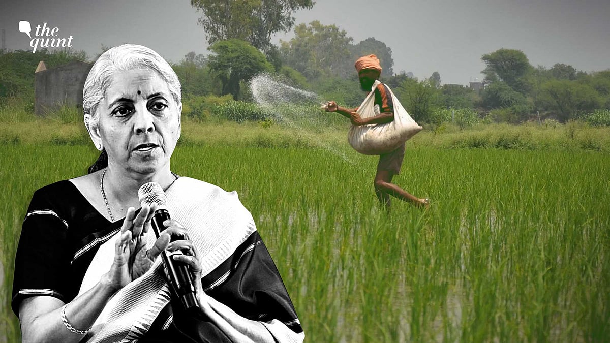 <div class="paragraphs"><p>After interest payments and food subsidies, fertiliser subsidy will become the third largest single budget expenditure this year.</p></div>