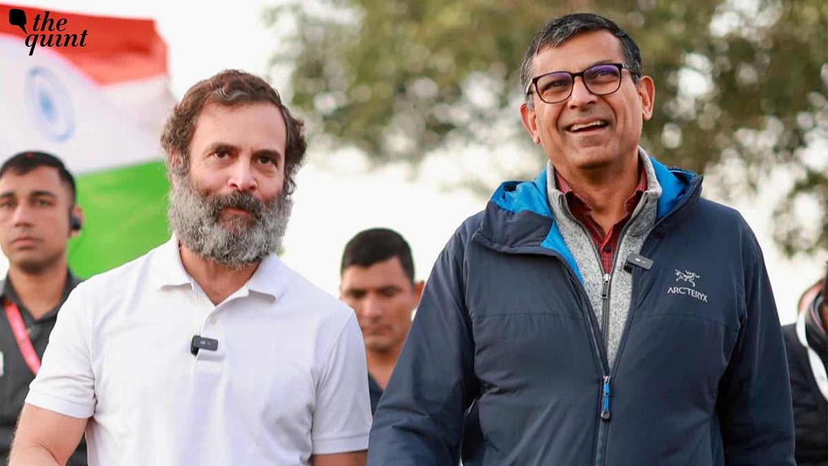 <div class="paragraphs"><p>BJP leader Amit Malviya said that Rajan joining the Bharat Jodo yatra was not surprising.</p></div>