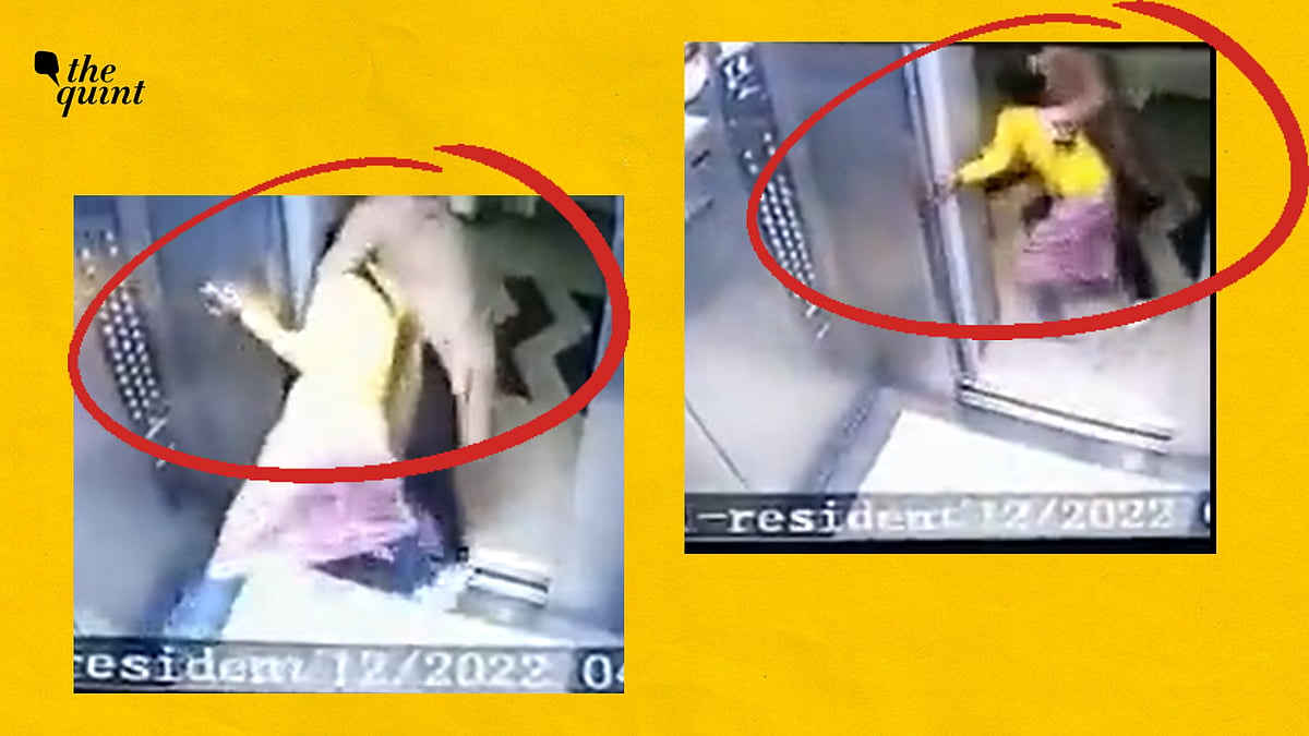 <div class="paragraphs"><p>The Noida woman whose video dragging and forcefully pulling her house help out of the elevator went viral on social media was arrested on Wednesday, 28 December.</p></div>