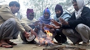 <div class="paragraphs"><p>North India to face another cold wave from 14-19 January. </p></div>