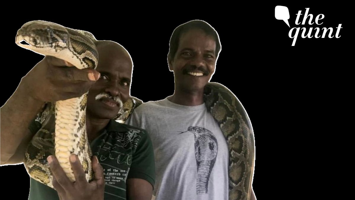 <div class="paragraphs"><p>A still of Vadivel Gopal and Masi Sadaiyan from the Irular Tribe who won the Padma Shri 2023.</p></div>