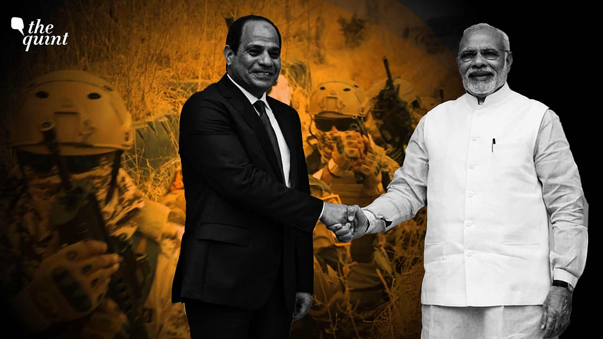 <div class="paragraphs"><p>At the forefront in fight against terrorism, Egypt can help India in deradicalisation and measures using soft power.</p></div>