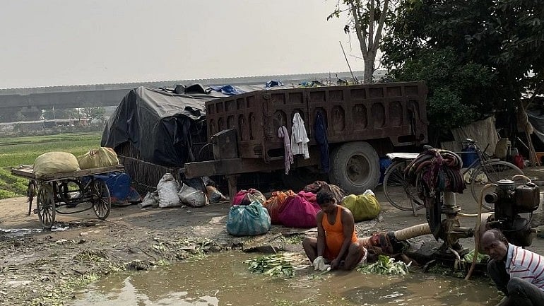 <div class="paragraphs"><p>Tenant farmers washing their produce in Chilla khadar area of Delhi. </p></div>