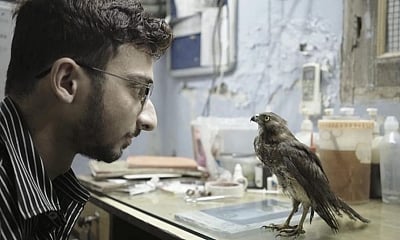 <div class="paragraphs"><p>Here's Where You Can Watch the Oscar-Nominated Documentary 'All That Breathes'. </p></div>
