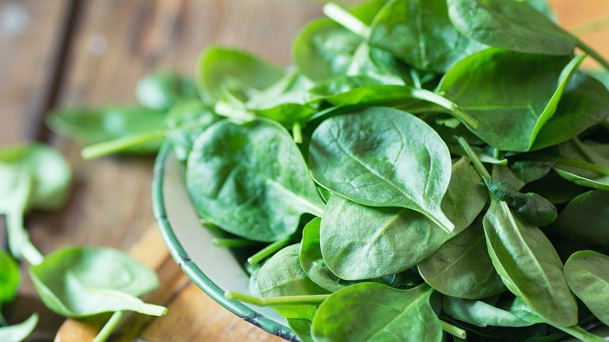 <div class="paragraphs"><p>Know the important health benefits of eating spinach. </p></div>