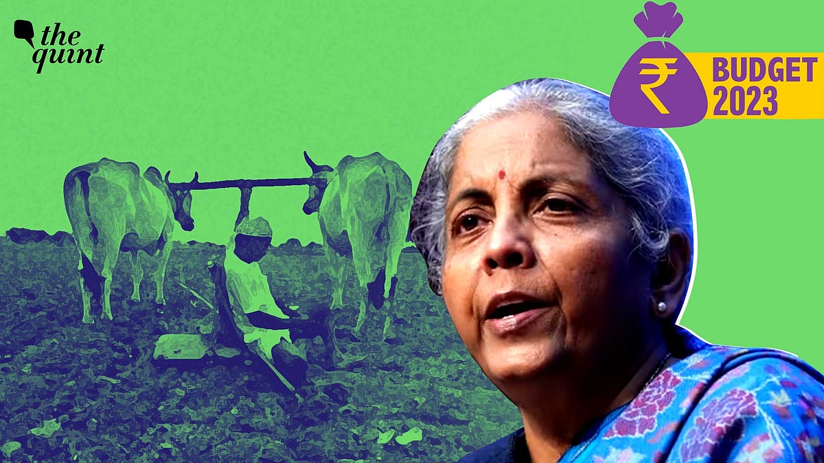 <div class="paragraphs"><p>Finance Minister Nirmala Sitharaman presented the Union Budget on Wednesday, 1 February.&nbsp;</p></div>