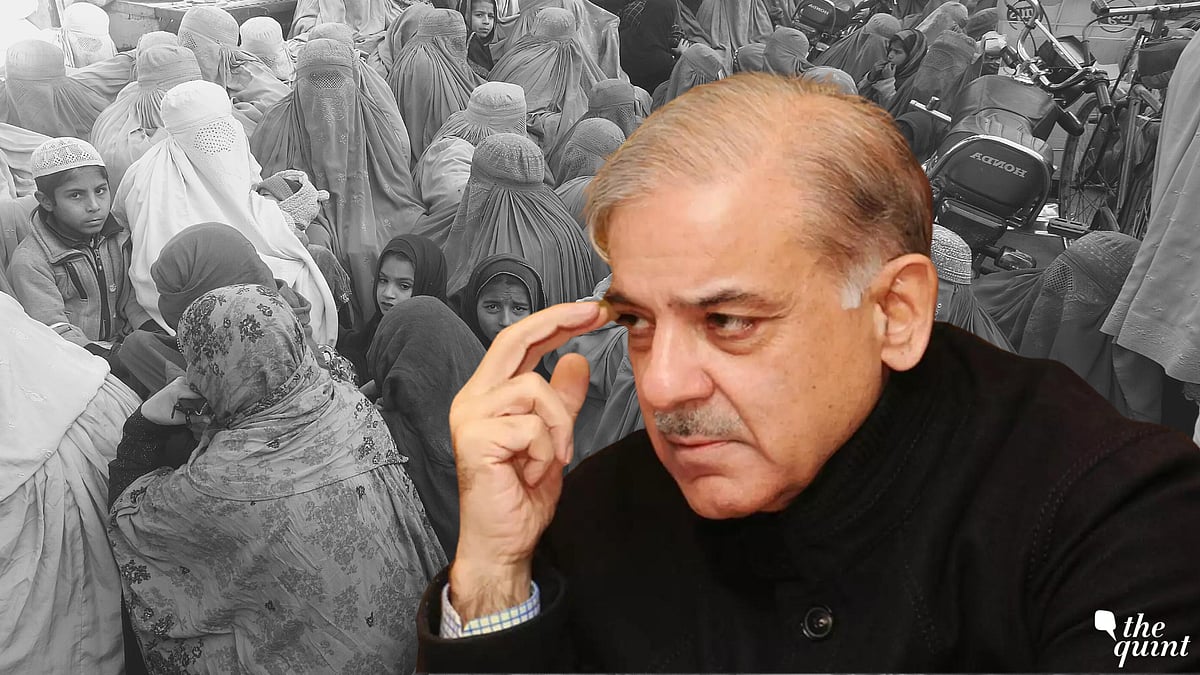 <div class="paragraphs"><p>As <a href="https://www.thequint.com/topic/pakistan">Pakistan</a> reels from a years-long economic crisis, a food crisis has now hit the nation. </p></div>