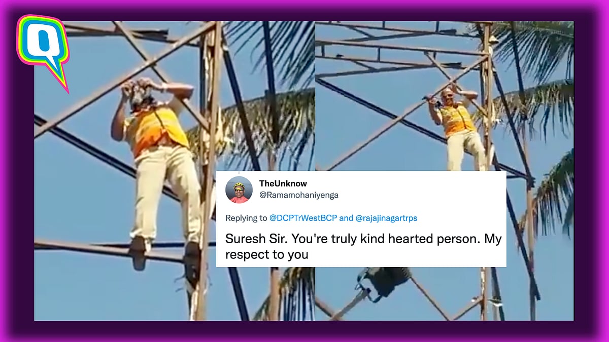 <div class="paragraphs"><p>Suresh climbed a 30-foot-high hoarding to rescue the bird. </p></div>