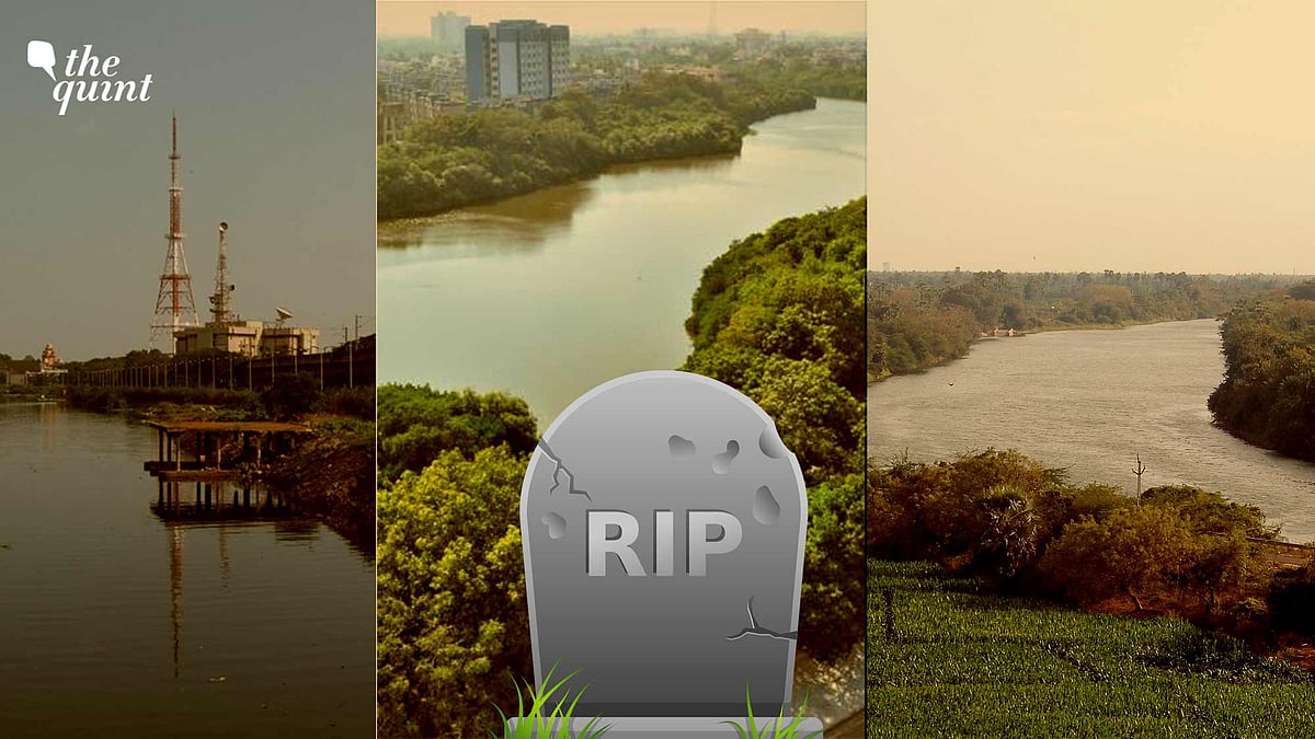 <div class="paragraphs"><p>A report has declared Chennai's rivers Cooum, Adyar river, and Buckingham canal dead.</p></div>
