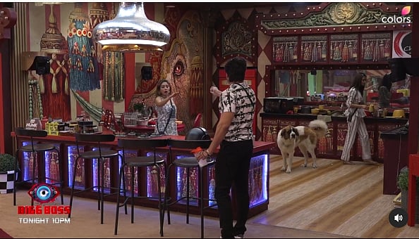 <div class="paragraphs"><p>Bigg Boss 16, 18 January 2023 Full written Update: A War Between Shalin, Tina, and Priyanka.</p></div>