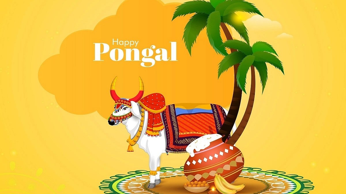 <div class="paragraphs"><p>Pongal 2023 will officially begin on 15 January 2023.</p></div>
