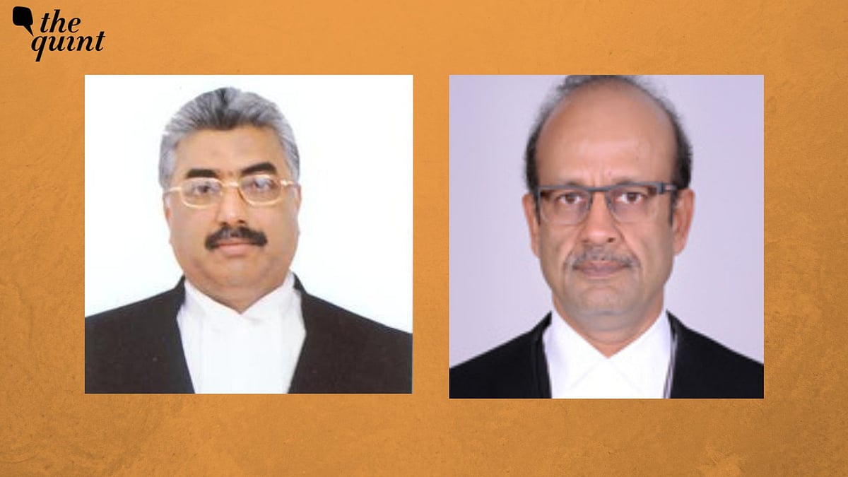 <div class="paragraphs"><p>SC to Have Full Working Strength, Centre Notifies Appointment of 2 More Judges</p></div>