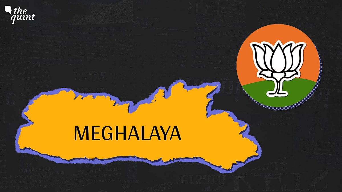 <div class="paragraphs"><p>(BJP is facing a few obstacles as it tries to</p></div>