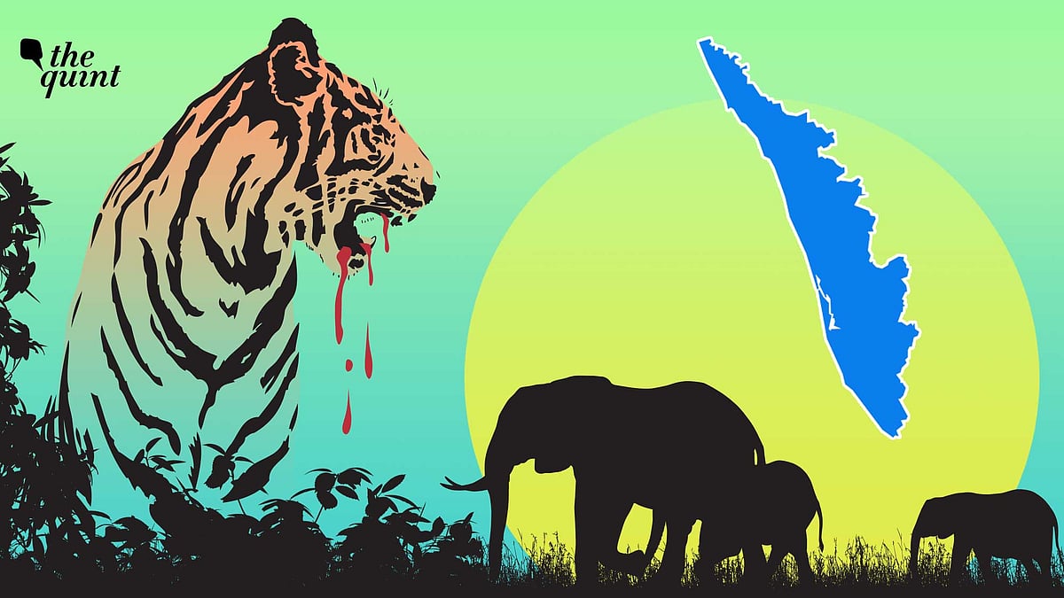 <div class="paragraphs"><p>In the last five years, there have been 640 deaths due to animals in Kerala.</p></div>