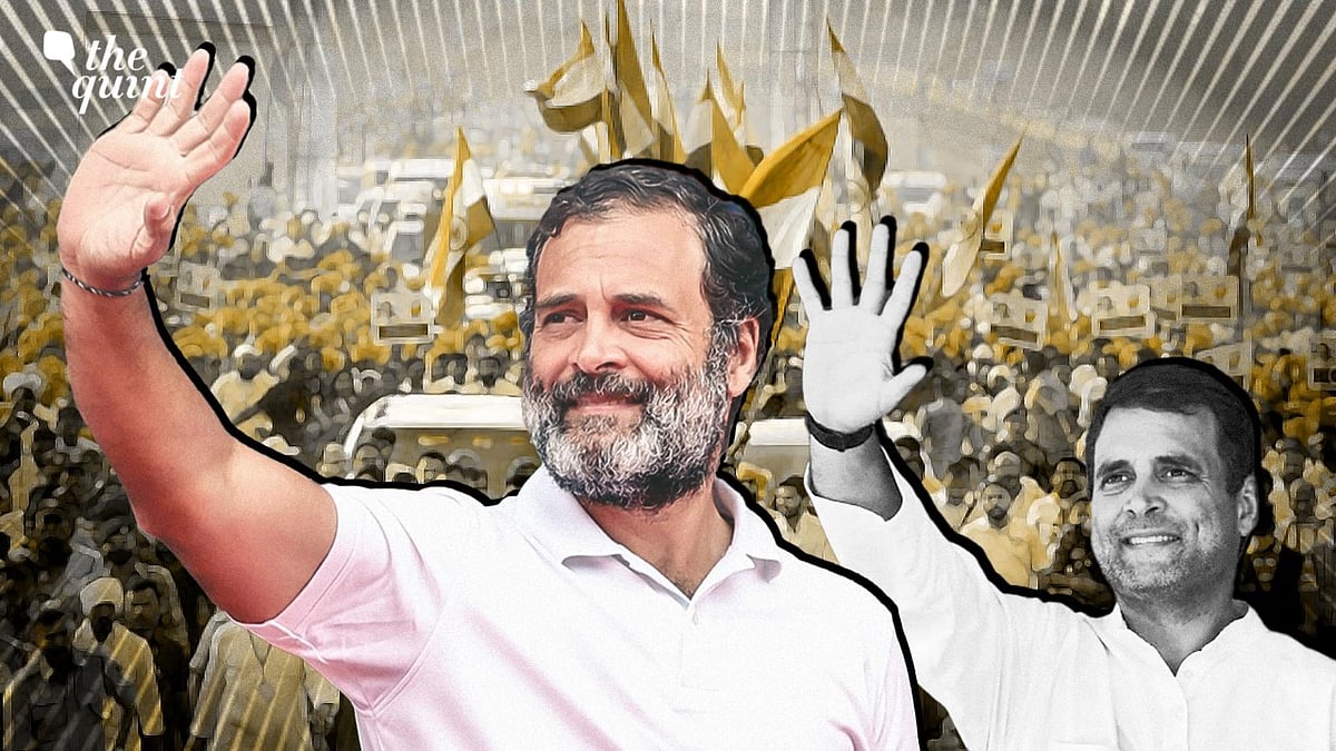<div class="paragraphs"><p>"If Congress is to have a chance against the BJP, Mr Gandhi’s image would have to be brought at par with PM Modi."</p></div>