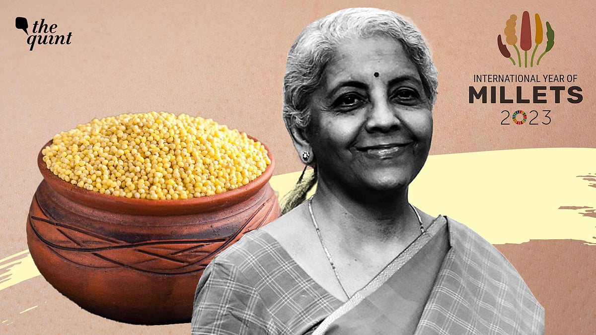 <div class="paragraphs"><p>Compared to other crops, millets bear lower risk of being pest-affected and also address deficiencies at a low cost.</p></div>