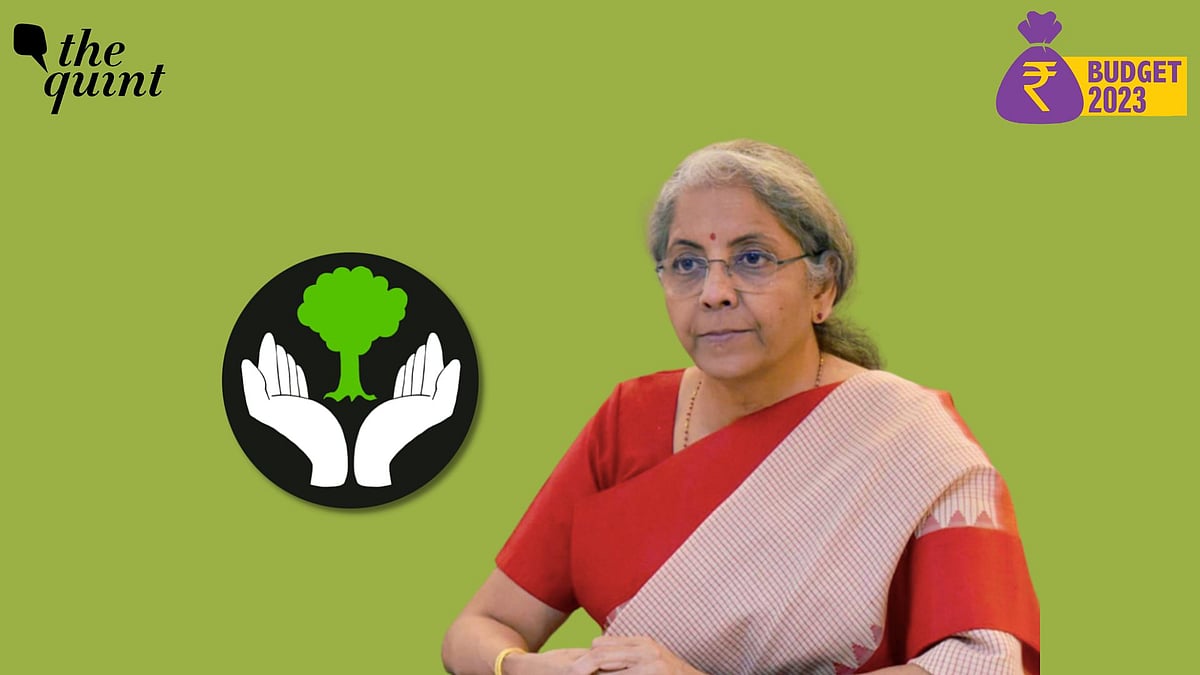 <div class="paragraphs"><p>While presenting the <a href="https://www.thequint.com/big-story/budget-2023">Union Budget</a> on Wednesday, 1 February, Finance Minister Nirmala Sitharaman said that India is swiftly moving towards reaching its net-zero target by 2070.</p></div>