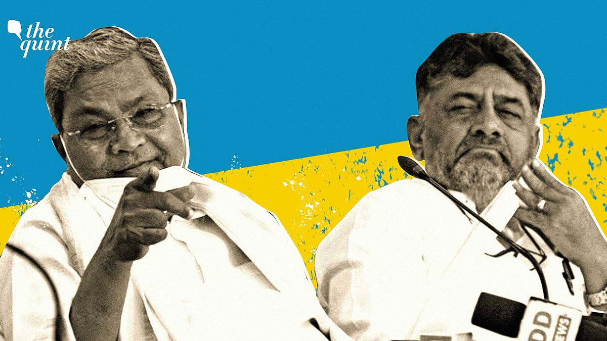 <div class="paragraphs"><p>DK Shivakumar's brother and Bengaluru Rural MP DK Suresh was defeated by the BJP in his stronghold. </p></div>