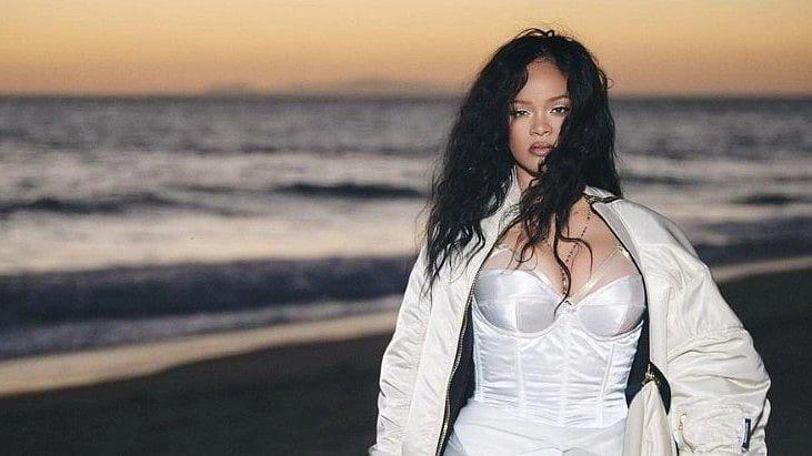 <div class="paragraphs"><p>Rihanna confirms her second pregnancy during the 2023 super bowl halftime show.&nbsp;</p></div>