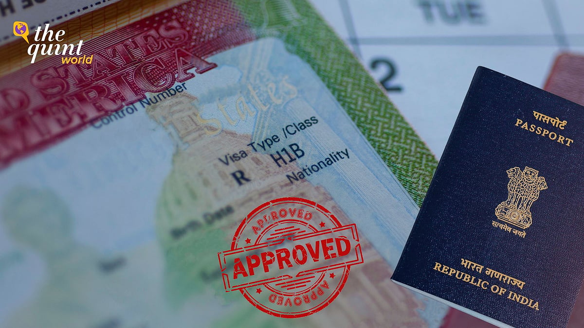 <div class="paragraphs"><p>The United States will allow holders of H-1B visas to get their renewal stamped within the US on a pilot basis later this year, a report said on Friday, 10 February.</p></div>
