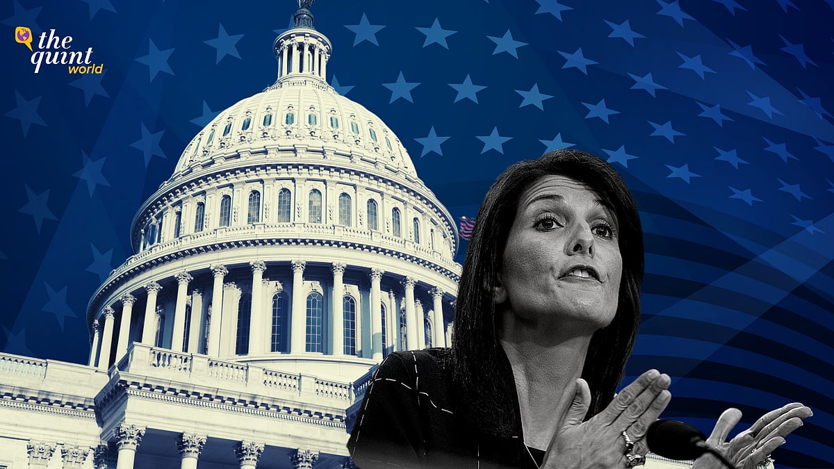 <div class="paragraphs"><p>Republican presidential hopeful Nikki Haley is a former governor of South Carolina and served as US Ambassador to the United Nations. </p></div>