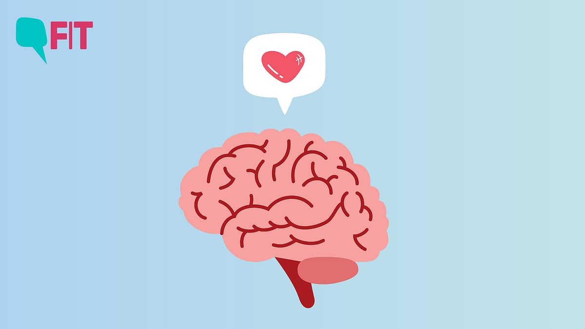 <div class="paragraphs"><p>Your brain releases certain hormones that make you fall head over heels for someone, and also hormones that sustain you in that very love.</p></div>