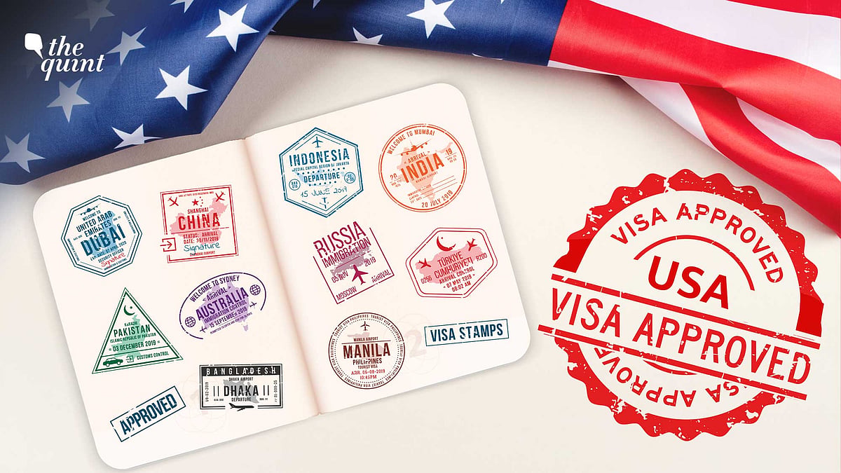 <div class="paragraphs"><p>The move is aimed at curbing the enormous backlog for visa appointments.</p></div>