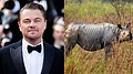 more-news-img