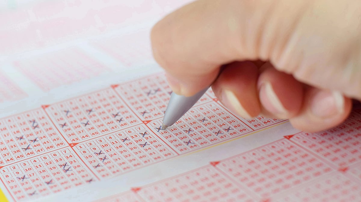 <div class="paragraphs"><p>You can download the Kerala lottery result PDF for Win Win W 714 draw on 10 April.</p></div>