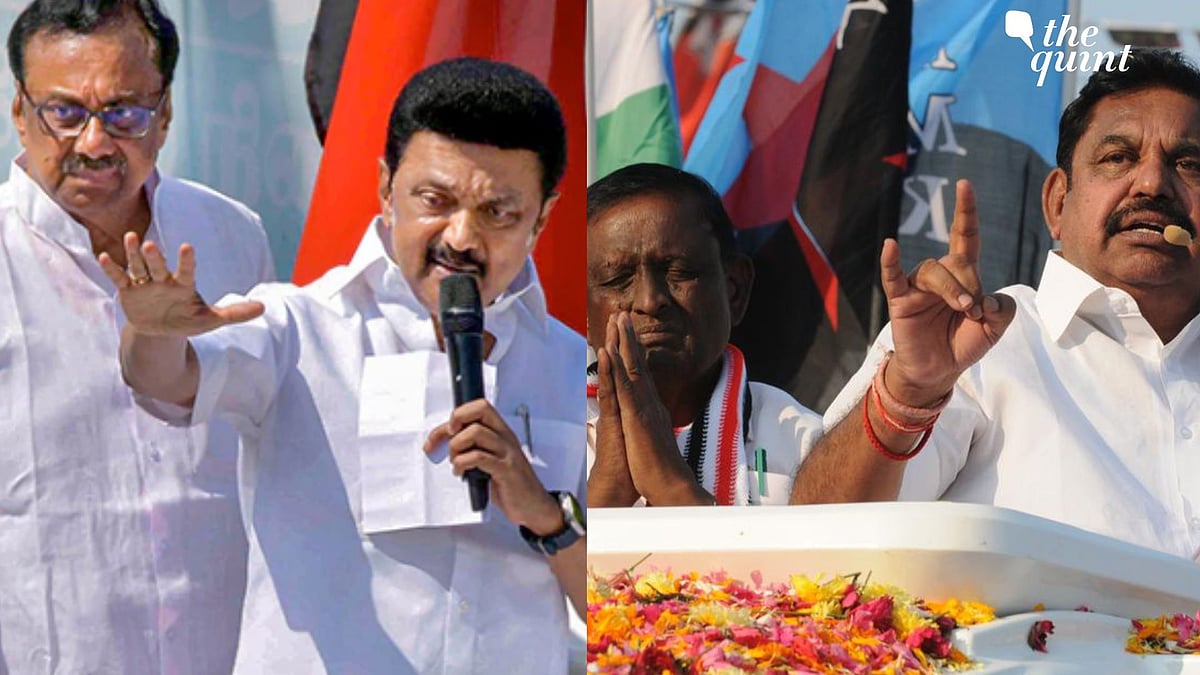 <div class="paragraphs"><p>In Erode East seat, polling was recorded at 74.69 percent at 7 pm.</p></div>
