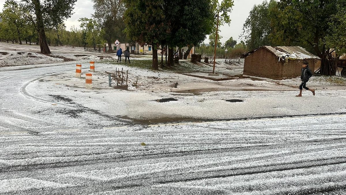 <div class="paragraphs"><p> Bastar, in Chhattisgarh, witnessed heavy hailstorms on Monday, 20 March. </p></div>