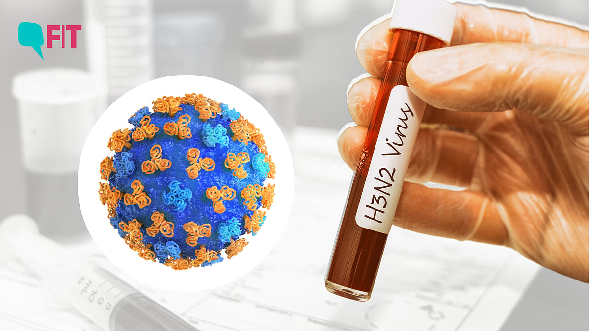 <div class="paragraphs"><p>Here are nine things you should know about the H3N2 virus situation in India.</p></div>