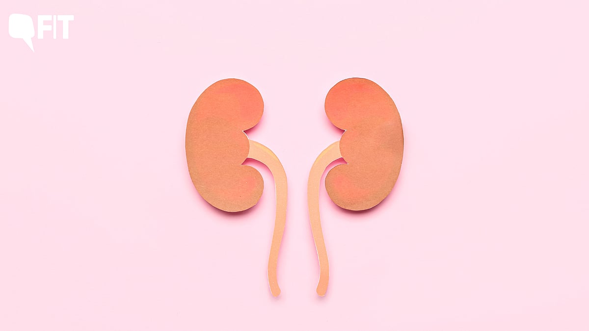 <div class="paragraphs"><p>World Kidney Day 2023: How to care for your kidneys</p></div>